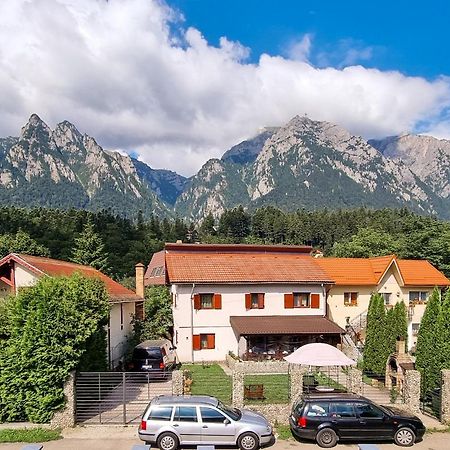 Hotel Nova Cervus Buşteni Exterior foto